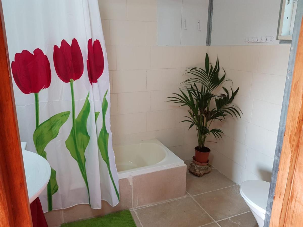 Appartement יורט מונגולי à Matzuva Extérieur photo